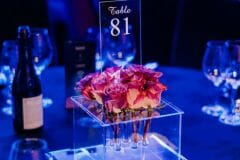 World Class Awards #WCNZA 2019