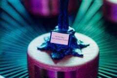 World Class Awards #WCNZA 2019