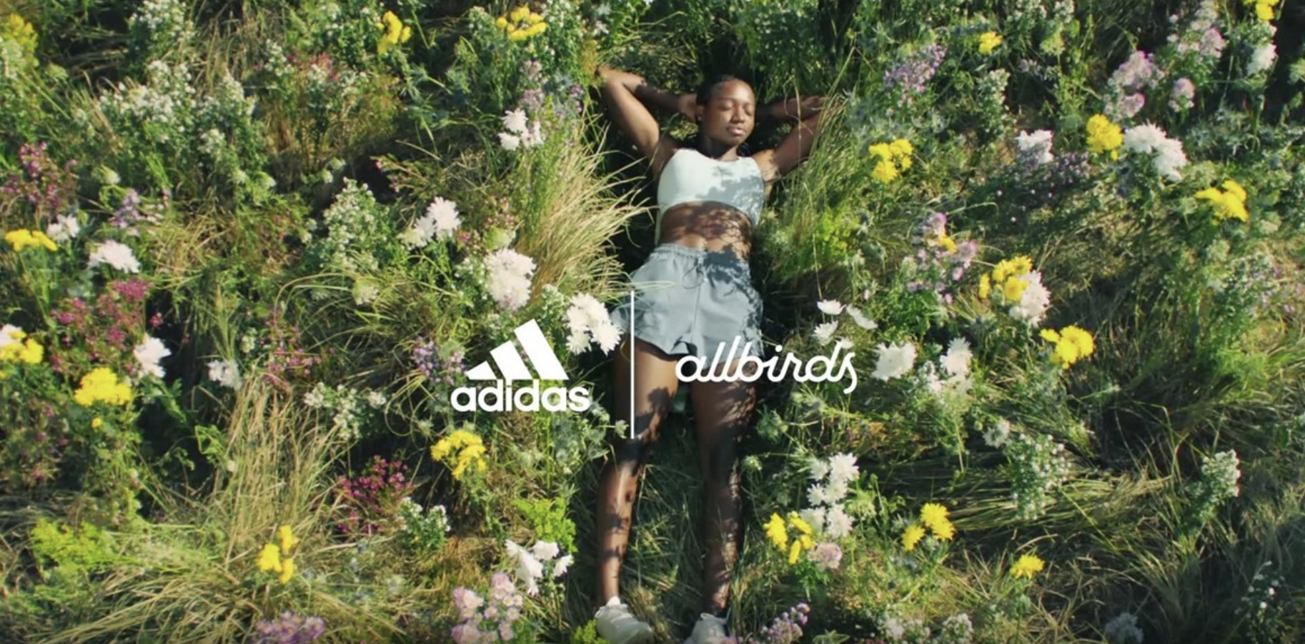 Adidas x Allbirds – a collaboration of kaitiakitanga