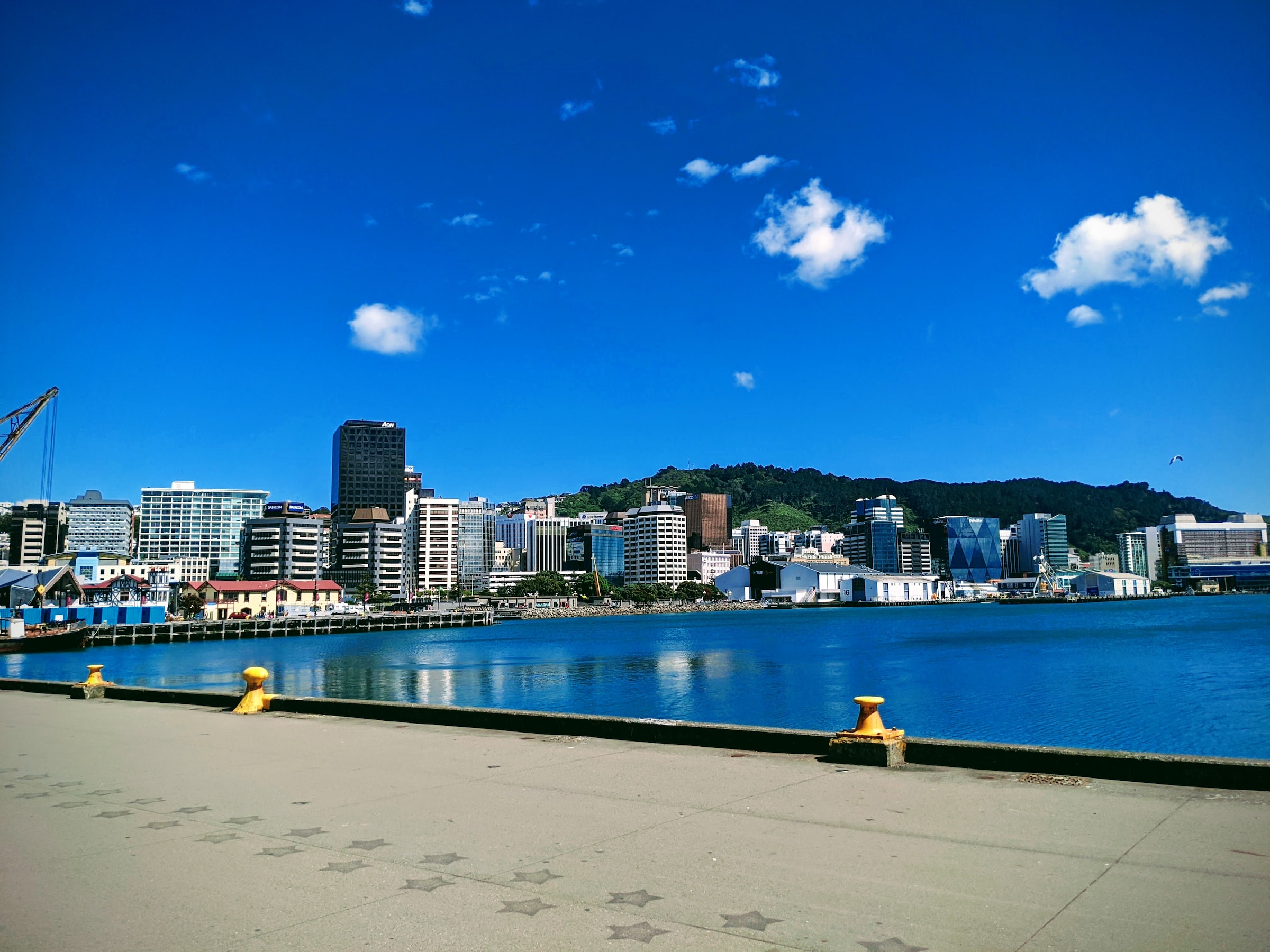 Sustainable businesses thriving in NZ’s capital