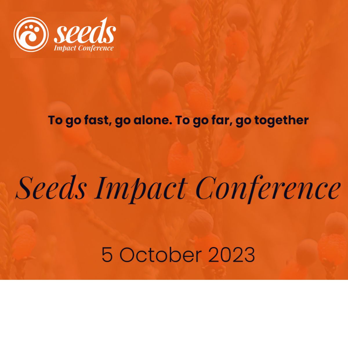 Seeds Impact Conference with guest speaker Kea CEO Toni Truslove