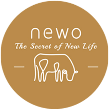 Newo Milk logo