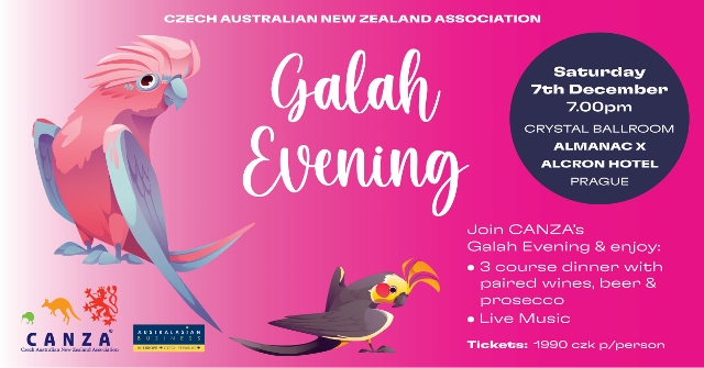 Galah Evening